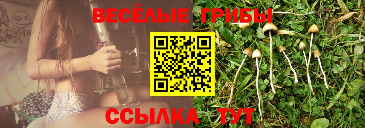 Галлюциногенные грибы мицелий Торжок