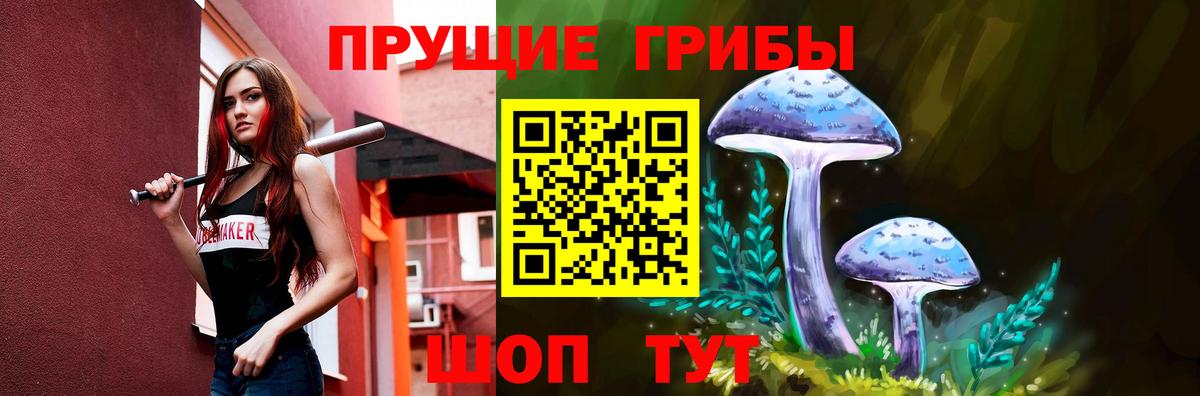 Псилоцибиновые грибы мухоморы  Вход с VPN  Торжок 