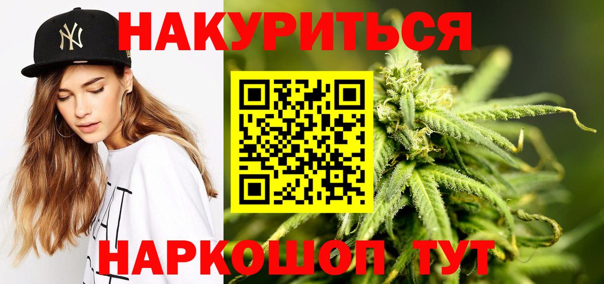 Конопля сатива Торжок